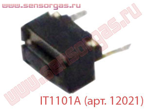 IT1101A (. 12021)  -21